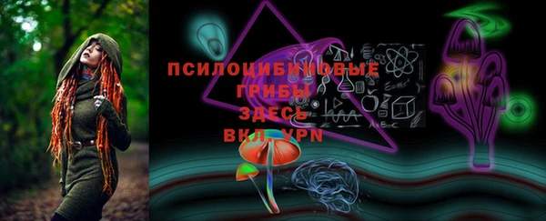 дживик Дмитриев