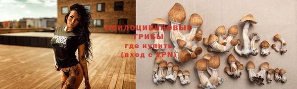 mix Ельня