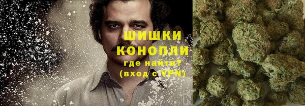 кокс Дмитров
