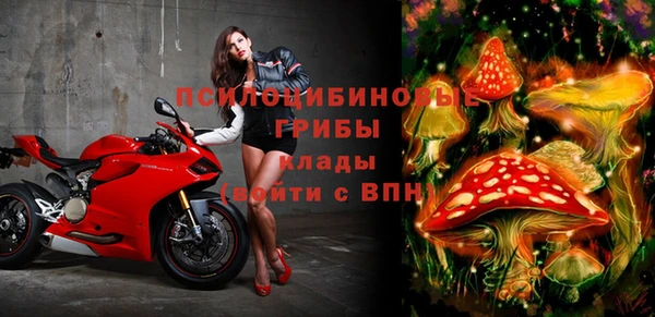кокс Дмитров