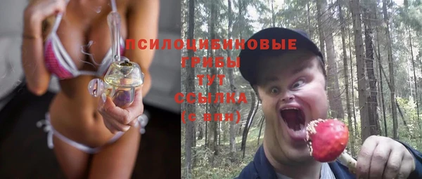 дживик Дмитриев