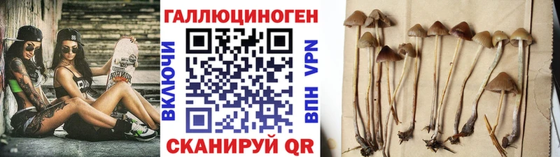Псилоцибиновые грибы Magic Shrooms  Зеленокумск 
